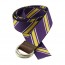 Purple Stripe Largo D-Ring Sailing Belt